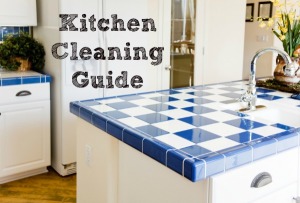 Kitchen Cleaning Guide